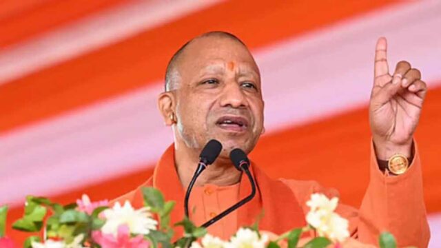 CM_Yogi_03-4.jpg