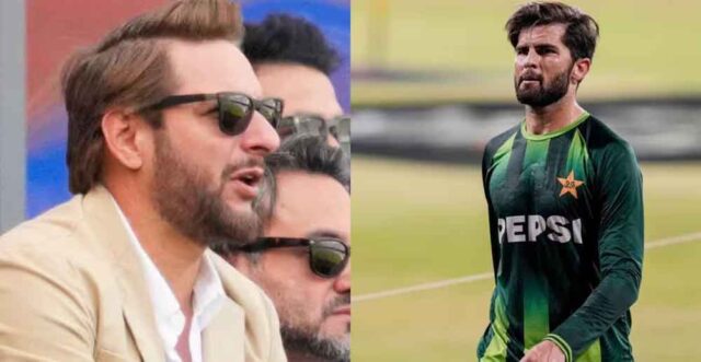 afridi1.jpg