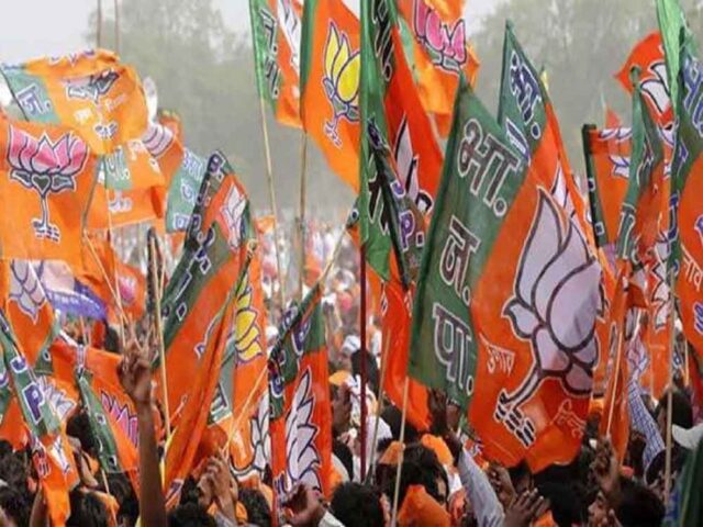 bjp3.jpg