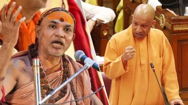 yogi1-4.jpg