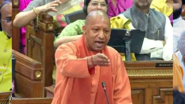 yogi_3A_111_4-2.jpg