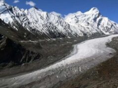 हिमालय के जंगलों में गिरावट, सरकारी रिपोर्ट ने किया खुलासा- 2 साल में 2.2% ग्रीन कवर गायब