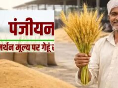 खाद्य मंत्री राजपूत का ऐलान, इंदौर, उज्जैन, भोपाल और नर्मदापुरम संभाग में 1 अप्रैल से होगी गेहूँ खरीदी