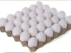 अब यूपी में अंडों पर अनिवार्य होगी एक्सपायरी डेट, सरकार ने जारी किया आदेश