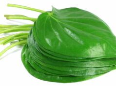 रुकावटों से परेशान हैं? पान के पत्तों का यह उपाय बदल सकता है आपकी किस्मत