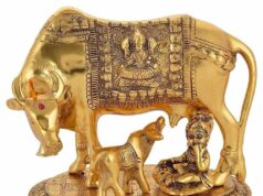 वास्तु चेतावनी: भूलकर भी इस दिशा में न रखें कामधेनु गाय, वरना घर में आ सकती हैं परेशानियाँ