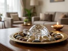 घर में कछुआ रखने से आती है धन-समृद्धि, जानें सही दिशा और धातु का नियम