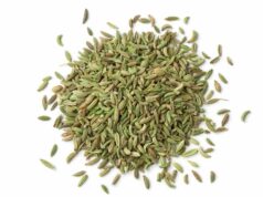 सिर्फ एक मुट्ठी सौंफ बदल सकती है घर का माहौल, जानें कहाँ रखें