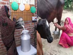 दुग्ध व्यवसाय से तरक्की में उत्तर प्रदेश देश में पहले स्थान पर