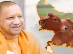 मुख्यमंत्री योगी आदित्यनाथ की पहल से बैंक ऋण व अनुदान वितरण में आई तेजी