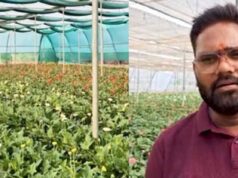 राष्ट्रीय बागवानी मिशन की मदद से बाराबंकी के नीरज पटेल बने आत्मनिर्भर