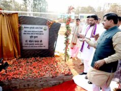 चीतों का नया बसेरा बनेगा बुंदेलखंड अब बुंदेलखंड की धरती पर चीते भरेंगे फर्राटे