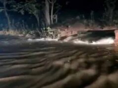 बारिश का कहर: बिलासपुर डैम का गेट टूटा, हाईवे बना नदी, फसलें डूबीं