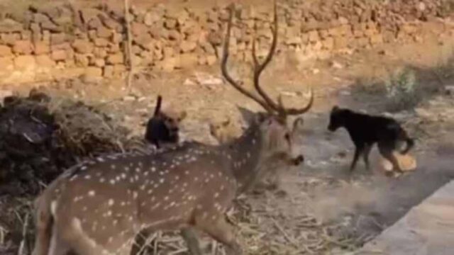 Chhattisgarh_News_09-2-6.jpg