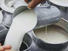 MP में महंगाई का असर: भोपाल-इंदौर में दूध की कीमतों में इजाफा, घर पहुंचने वाला दूध होगा 3 रुपये महंगा