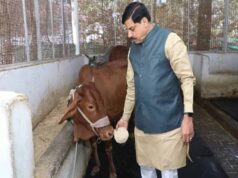 मुख्यमंत्री डॉ. यादव को मंत्रीगण, जनप्रतिनिधियों, विभिन्न संस्थाओं, अधिकारियों, वरिष्ठ नागरिकों और जनसामान्य ने दीं जन्मदिवस की शुभकामनाएं