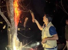 त्योहार पर भी कर्तव्य निभाते रहे वनकर्मी, होली पर जंगलों की सुरक्षा में तैनात