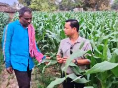 धान से मक्का की ओर बढ़ते कदम :फसलचक्र परिवर्तन से धमतरी के किसानों की बढ़ी आय, जल संरक्षण को मिली नई दिशा