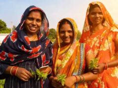 महिला उद्यमिता में उछाल, लगभग 30 प्रतिशत की वृद्धि के साथ उभर रहा नया नवाचार इकोसिस्टम