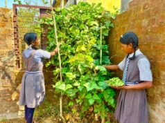स्कूल गार्डन बना पोषण का आधार, छात्रों को मिल रही हरी-भरी सेहत
