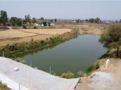 अमृत सरोवर से रिझोरा में लौटी हरियाली और खुशहाली