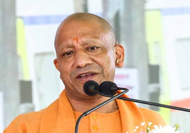 Yogi_01_copy-2.jpg