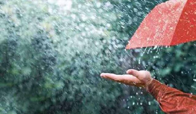 barish9-1.jpg