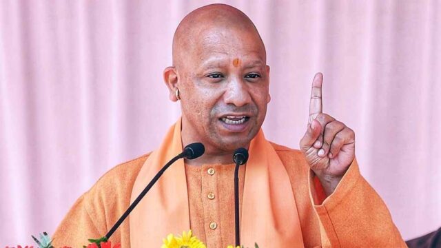 yogi_06-1.jpg