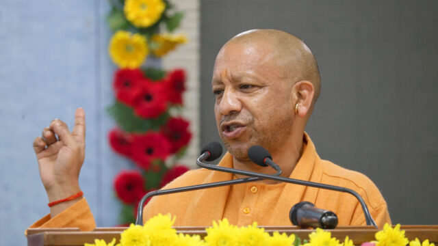 yogi_133_5-5.jpg