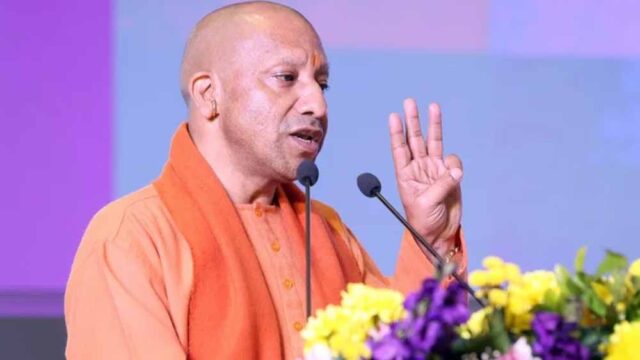 yogi_new-1.jpg