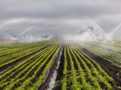 रायपुर : दो सिंचाई योजना के लिए 6.12 करोड़ रुपये स्वीकृत