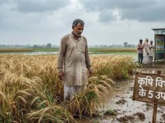 कृषि विभाग ने किसानों से की अपील, खलिहानों को आग से बचाने के लिए ज्वलनशील पदार्थों से करें परहेज
