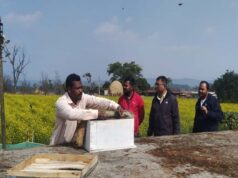 रायपुर : मधुमक्खी पालन – कम लागत में ज्यादा मुनाफे का एक बेहतरीन विकल्प