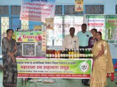 मंदसौर की महिलाओं ने नारी शक्ति वंदन के तहत महानगरों में बिखेरी मिठास