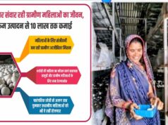 मशरूम उत्पादन से ग्रामीण महिलाओं को मिल रही 10 लाख तक कमाई, योगी सरकार की पहल