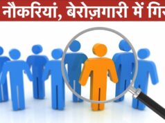 सर्वे 2025 में दावा: देश में बेरोजगारी घट रही है, 61.3 करोड़ लोग काम पर; महिलाओं का वेतन वृद्धि पुरुषों से ज्यादा