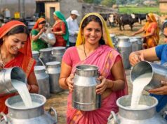 महिला सशक्तिकरण की नई उड़ान: 6 जिलों की 55 हजार+ महिलाओं ने शुरू किया सफल कारोबार