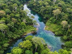 सागर बांध में लगे 1.5 करोड़ पेड़, 65 लाख लोगों को ऑक्सीजन देने का सामर्थ्य