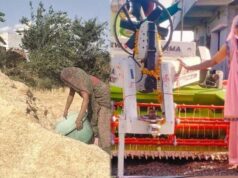 इंदौर की किसान दीदी ने 600 बीघा खेत बचाए, पराली न जलाने की अलख जागृत की