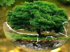 विश्व पृथ्वी दिवस पर INTACH की राष्ट्रीय पोस्टर प्रतियोगिता आयोजित