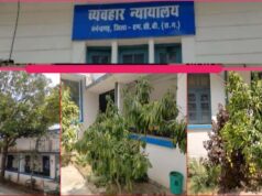 हरियाली से महका मनेन्द्रगढ़ न्यायालय परिसर, फलदार वृक्ष बने आकर्षण का केंद्र