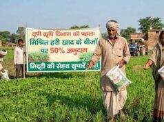 हरी खाद से खेती में बढ़ेगा उत्पादन, मिट्टी की सेहत में सुधार की उम्मीद