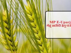 अनूपपुर जिले में गेहूँ उपार्जन 15 अप्रैल से प्रारंभ, 6 केंद्र निर्धारित