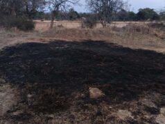 आग का कहर किसान की फसल जलकर खाक