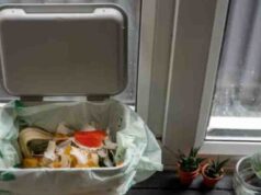 वास्तु टिप्स,गलत दिशा में रखा कूड़ेदान बन सकता है कंगाली का कारण, जानें डस्टबिन रखने के सही नियम