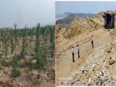 रायपुर: बंजर डंप क्षेत्र से हरा-भरा जंगल बनाने की दिशा में गेवरा की अनूठी पहल