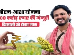 मोहला : पीएम-आशा योजना में किसानों को राहतः चना, मसूर और सरसों पंजीयन की तिथि 20 अप्रैल तक बढ़ी