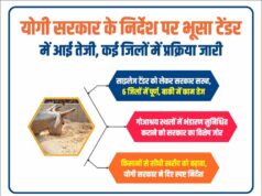 साइलेज टेंडर को लेकर सरकार सख्त, 6 जिलों में पूर्ण, बाकी में काम तेज