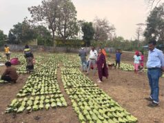 1 मई से तेंदूपत्ता संग्रहण का अभियान, 639 फड़ों पर होगी खरीद व्यवस्था