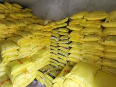 छत्तीसगढ़ में बड़ा एग्री स्कैम: Bastar के खाद-बीज घोटाले में अफसरों पर शक, करोड़ों की जांच तेज